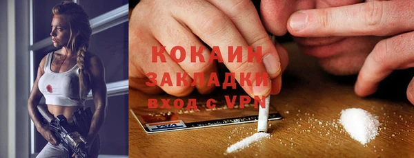 шишки Волосово