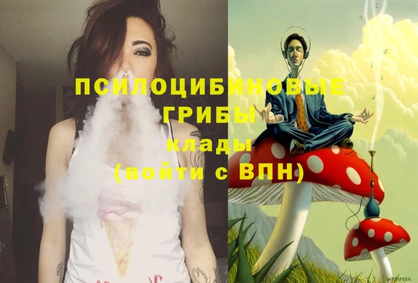 шишки Волосово